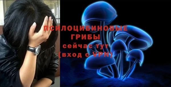 гидропоника Балабаново
