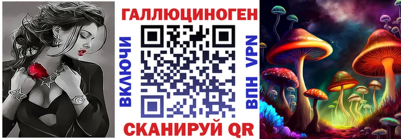купить   Лесной  Псилоцибиновые грибы мицелий 